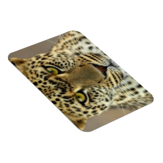 Fierce Leopard Magneet (Rechterzijde)