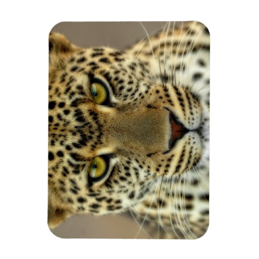 Fierce Leopard Magneet (Verticaal)
