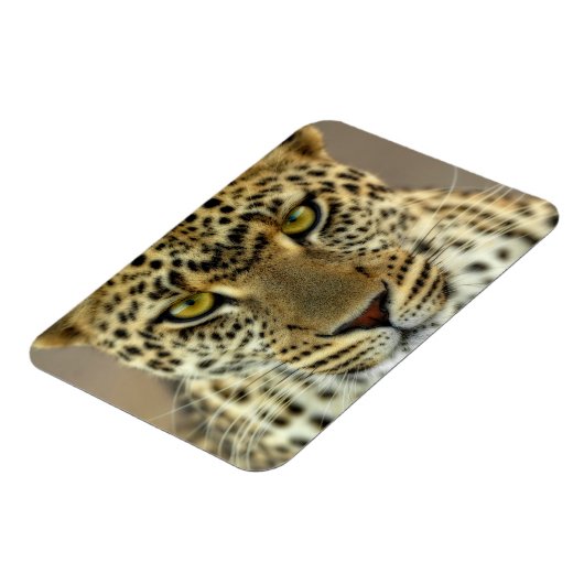 Fierce Leopard Magneet (Linkerzijde)