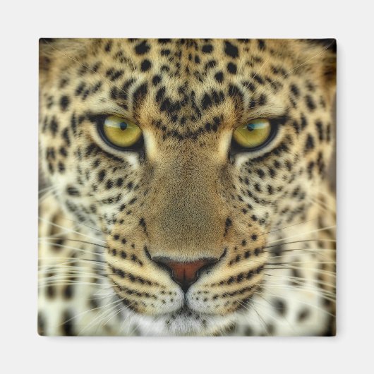 Fierce Leopard Magneet (Voorkant)