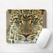 Fierce Leopard Muismat (Met muis)