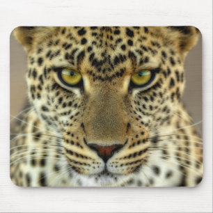 Fierce Leopard Muismat