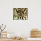 Fierce Leopard Poster (Keuken)