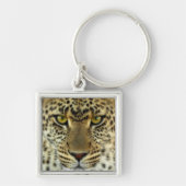 Fierce Leopard Sleutelhanger (Voorkant)