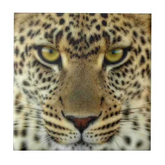 Fierce Leopard Tegeltje (Voorkant)