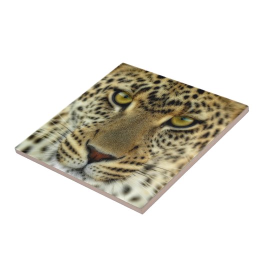 Fierce Leopard Tegeltje (Zijkant)