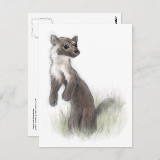 Fierce Little Pine Marten Briefkaart (Voorkant / Achterkant)