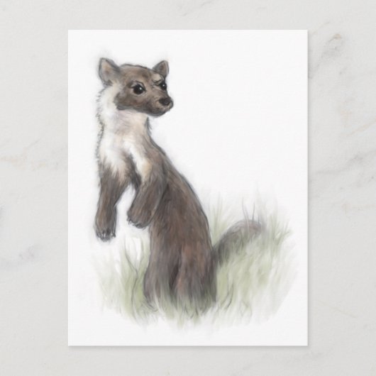 Fierce Little Pine Marten Briefkaart (Voorkant)