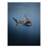 Fierce Ocean Predator – Shark Perfect Poster (Voorkant)
