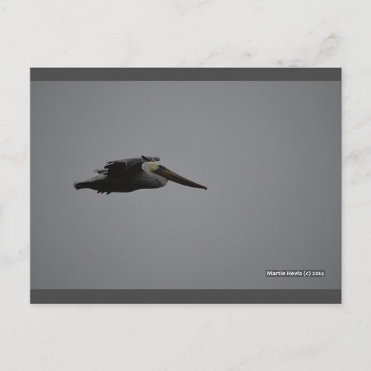 Fierce Pelican III | Blue Beach Song™-Briefkaart Briefkaart (Voorkant)