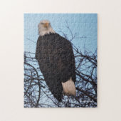 Fierce Stare of a Bald Eagle Legpuzzel (Verticaal)