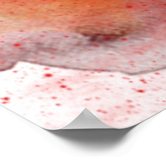 Fierce Tiger Shadow Poster (Hoek)