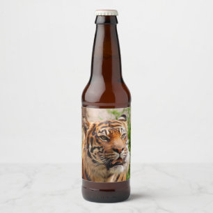 Fierce tijger bier etiket