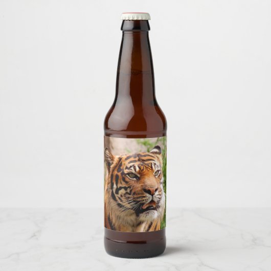 Fierce tijger bier etiket (Voorkant)