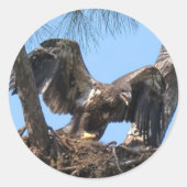 Fierce Young Eagle Stickers (Voorkant)