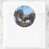 Fierce Young Eagle Stickers (Tas)