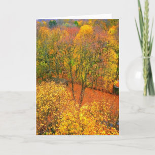 "Fiery Autumn" Blank Wenskaart Kaart