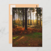 Fiery Bracken Briefkaart (Voorkant / Achterkant)