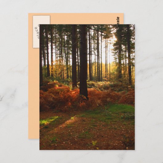 Fiery Bracken Briefkaart (Voorkant / Achterkant)