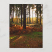 Fiery Bracken Briefkaart (Voorkant)