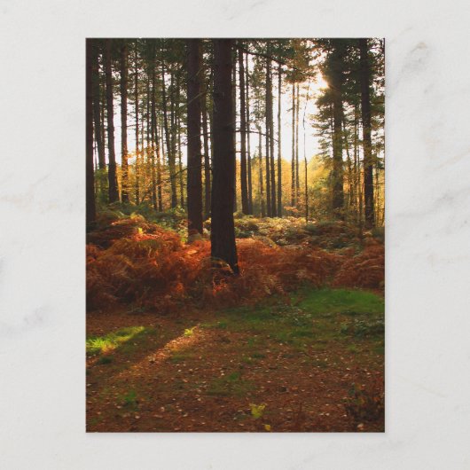 Fiery Bracken Briefkaart (Voorkant)