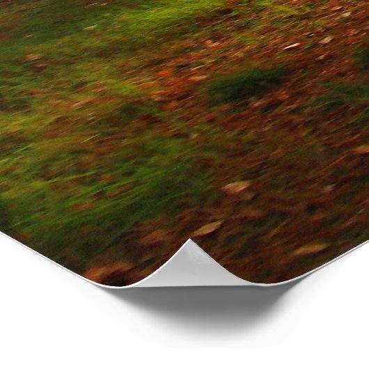 Fiery Bracken Print (Hoek)