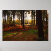 Fiery Bracken Print (Voorkant)