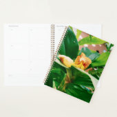 Fiery Costus Flower Insulin Plant Planner (Display)