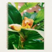 Fiery Costus Flower Insulin Plant Planner (Voorkant)