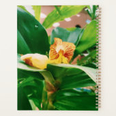 Fiery Costus Flower Insulin Plant Planner (Achterkant)