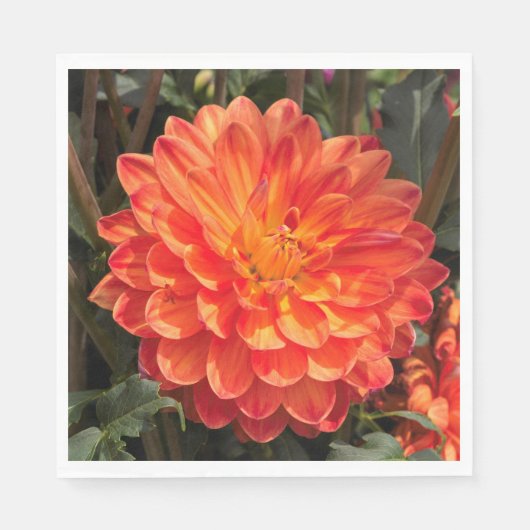 Fiery Dahlia Servetten (Voorkant)