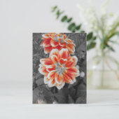 Fiery Dahlias Briefkaart (Staand voorkant)