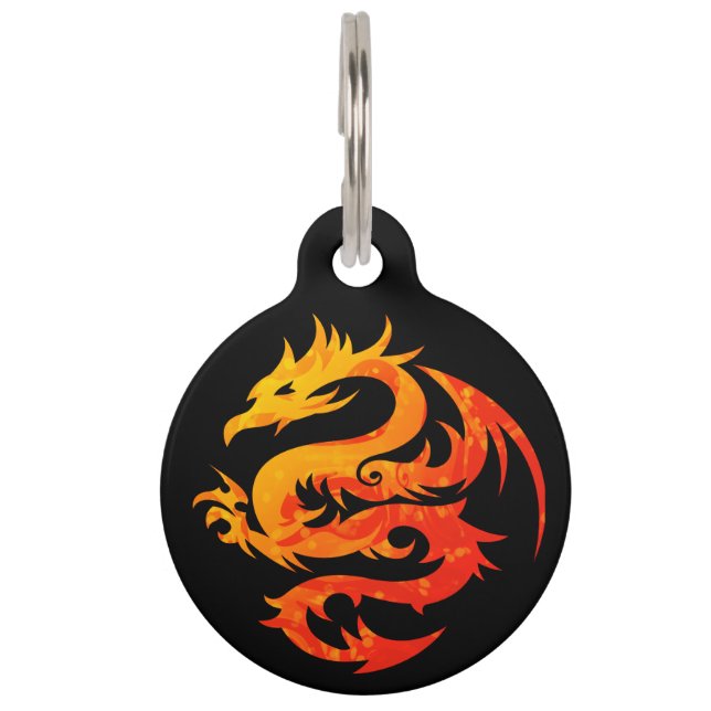 FIERY DRAGON HUISDIERPENNING (Voorkant)