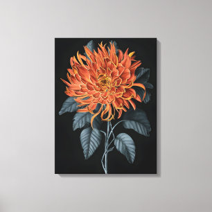 Fiery Elegance: Oranje chrysant Canvas Afdruk