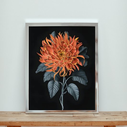 Fiery Elegance: Oranje chrysant Foto Afdruk