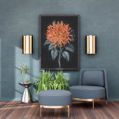 Fiery Elegance: Oranje chrysant Foto Afdruk