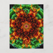 Fiery Garden Briefkaart (Voorkant)