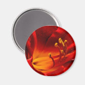 Fiery Lily Magneet (Voorkant / Achterkant)
