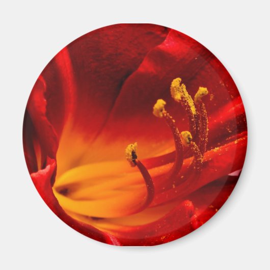 Fiery Lily Magneet (Voorkant)