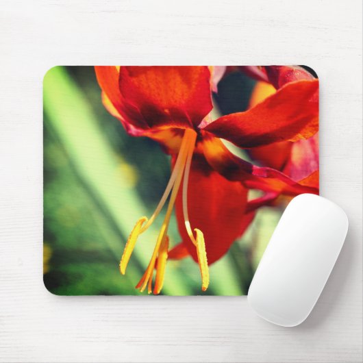 Fiery Oranje Lily Flower Muismat (Met muis)