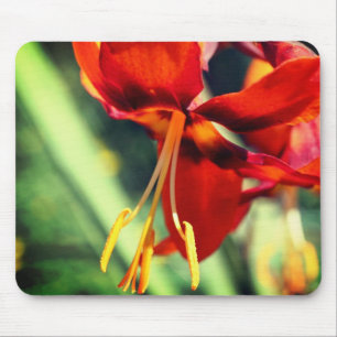 Fiery Oranje Lily Flower Muismat