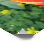 Fiery Oranje Tulip Print (Hoek)