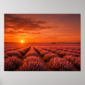 Fiery Sunset Lavender Fields Poster - Warm Orange (Voorkant)