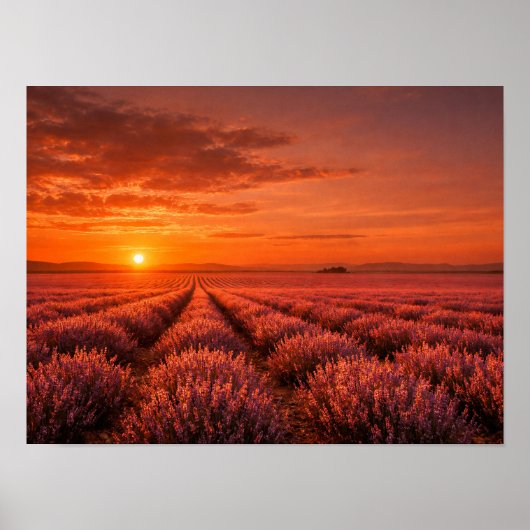 Fiery Sunset Lavender Fields Poster - Warm Orange (Voorkant)