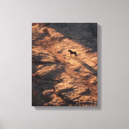 Fiery Sunset Lone Horse Silhouette Canvas Afdruk (Voorkant)