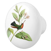Fiery Throated Hummingbird Keramische Knop (Rechts)