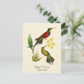 Fiery Topaz Hummingbird  Art Briefkaart (Staand voorkant)