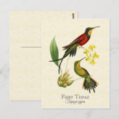 Fiery Topaz Hummingbird  Art Briefkaart (Voorkant / Achterkant)
