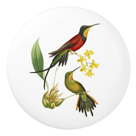 Fiery Topaz Hummingbird Keramische Knop (Voorkant)