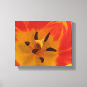 Fiery Tulip Canvas afdrukken